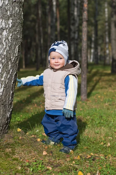 Un petit garçon marche dans le parc. Automne — Photo