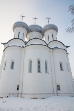 vologda katedralde Tanrı'nın bilgeliği. kış, Rusya Federasyonu.