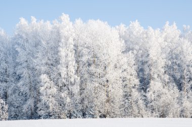 de citadel van carcassonne op france.