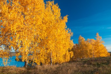 oka Nehri. yüksek banka sonbahar manzarası