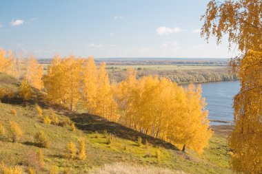oka Nehri. yüksek banka sonbahar manzarası