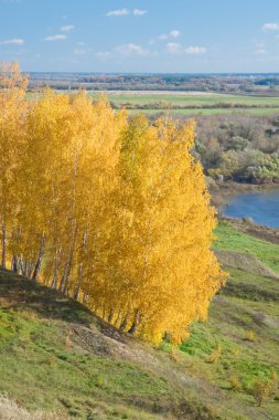 oka Nehri. yüksek banka sonbahar manzarası
