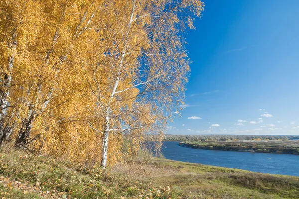 Река Ока. Осенний вид с высокого берега — стоковое фото