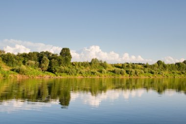 yeşil bir güneşli gün orman nehir kıyısında