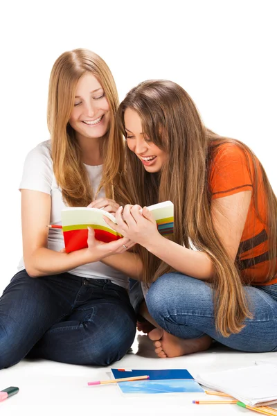 Dois jovens estudante feliz trabalho menina no laptop — Fotografia de Stock