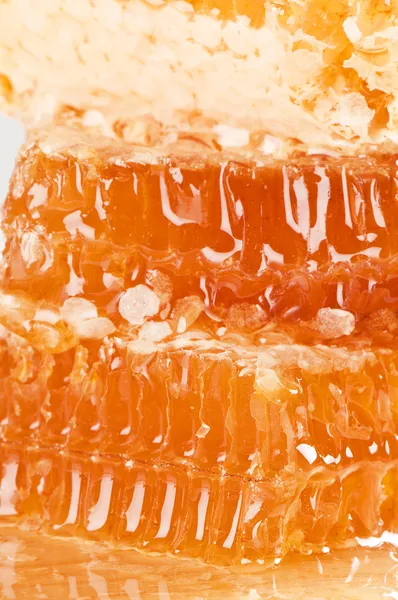 Мед и соты — стоковое фото