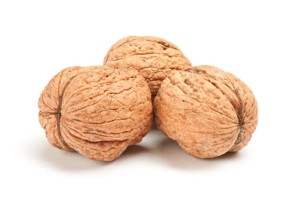 Nut on white background — Stock Photo, Image