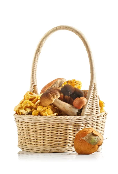 Basket full of different mushrooms isolated on a white background — Stock Photo, Image