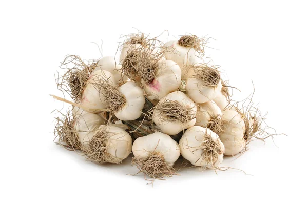 Knoflook geïsoleerd op een witte achtergrond — Stockfoto