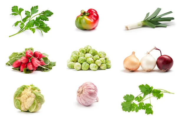 Parsley on a white background — Stock Photo, Image