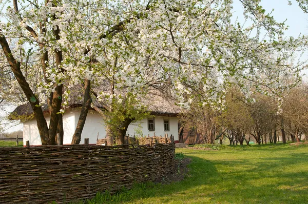 Pueblo ucraniano en la primavera — Foto de Stock