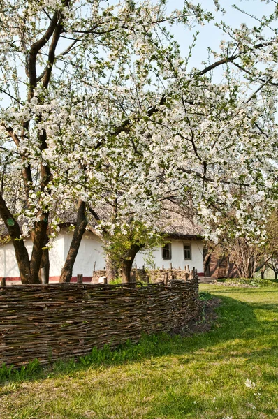 Village ukrainien au printemps — Photo
