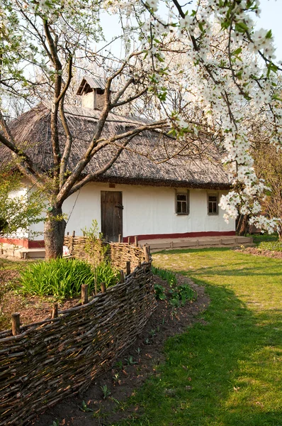 Ukrainisches Dorf im Frühling — Stockfoto