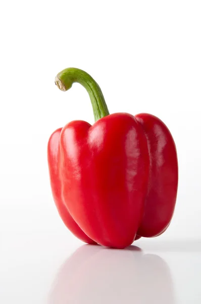 Red pepper — Stock Photo, Image