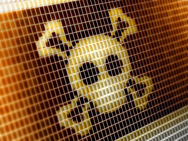 Роджер на экране
