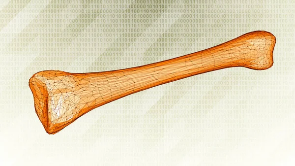 バイナリの背景に人間の骨の3Dワイヤーフレーム 3Dイラスト — ストック写真