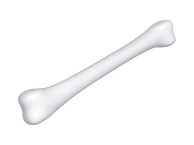 Beyaz arka planda izole edilmiş bir insan kemiği. 3d Görüntü.