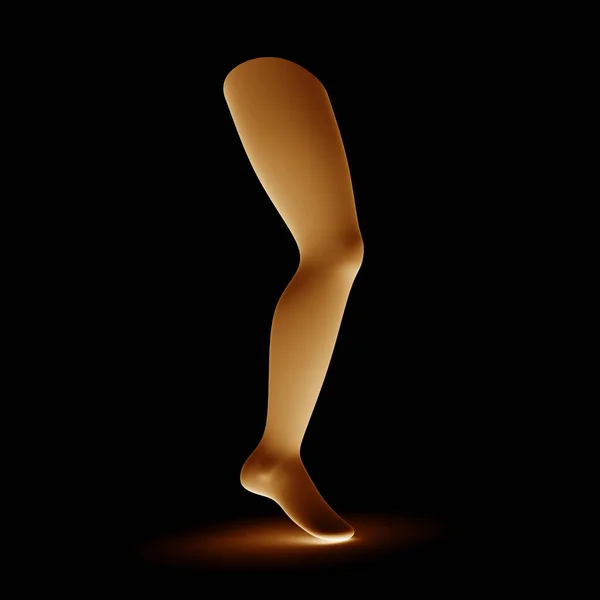 Dreidimensionales Modell Des Menschlichen Beines Isoliert Auf Schwarzem Hintergrund Illustration — Stockfoto