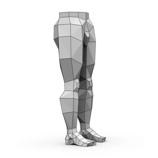 Tredimensionell Modell Mänskliga Ben Isolerade Vit Bakgrund Illustration — Stockfoto