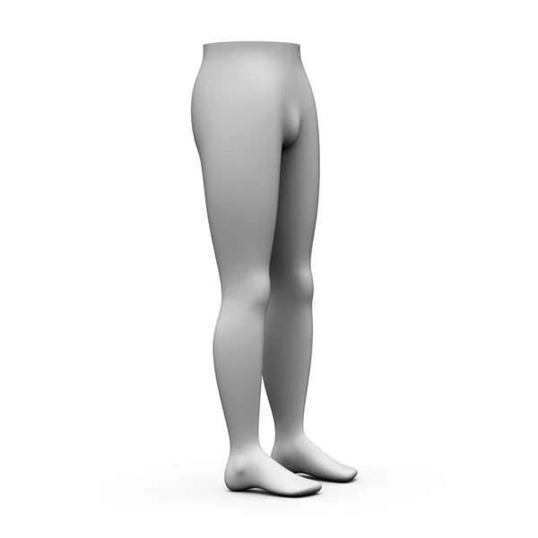 Dreidimensionales Modell Menschlicher Beine Isoliert Auf Weißem Hintergrund Illustration — Stockfoto