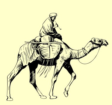 Bedevi devenin üzerinde