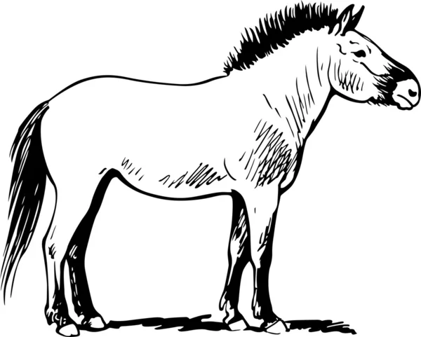 Caballo fuerte — Archivo Imágenes Vectoriales