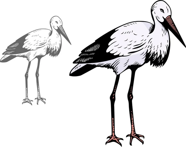 Storks — Stockový vektor