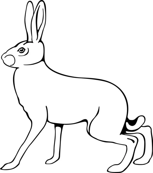 European hare — Stock Vector