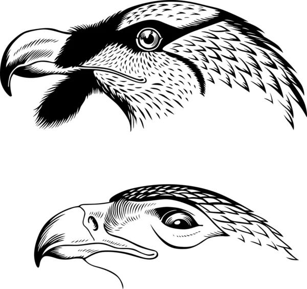 Têtes d'aigle — Image vectorielle