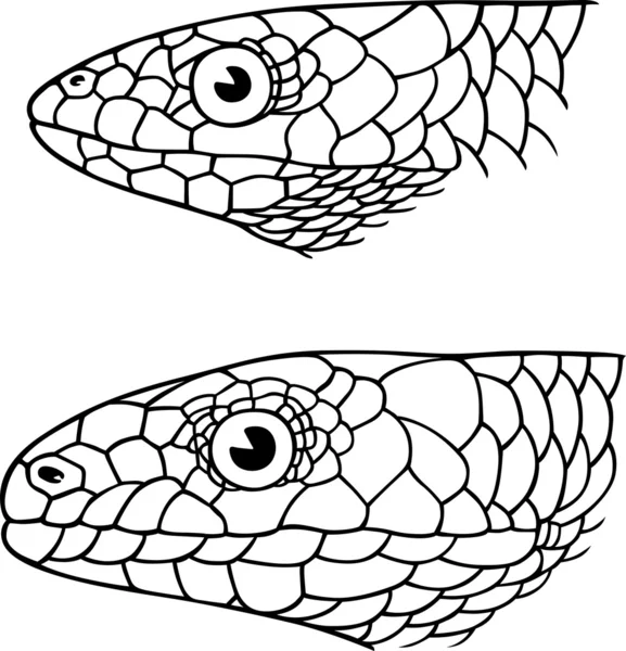 Cabeza de serpiente — Archivo Imágenes Vectoriales