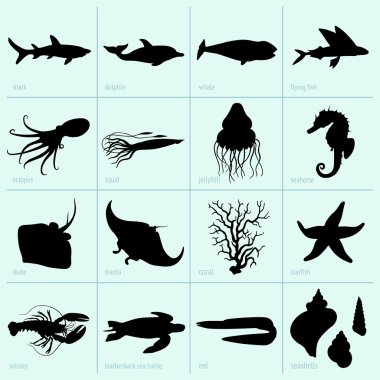 Sea animals clipart