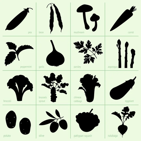Zelenina — Stockový vektor