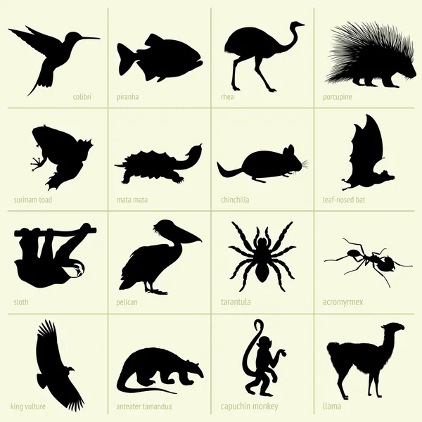 Animaux d'Amérique du Sud — Image vectorielle