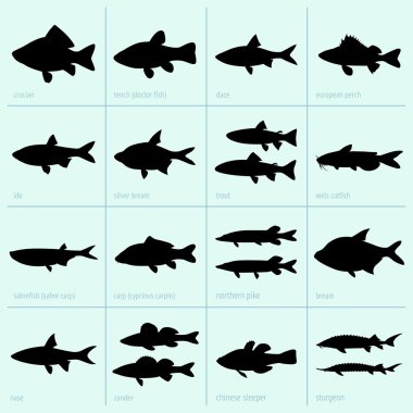 Freshwater fish clipart