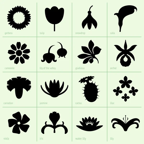 Bloemen — Stockvector