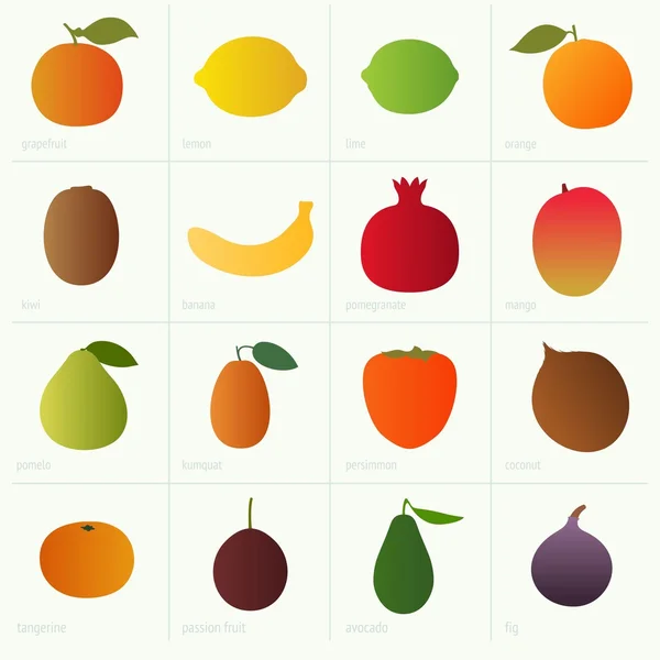Цветные фрукты — стоковый вектор