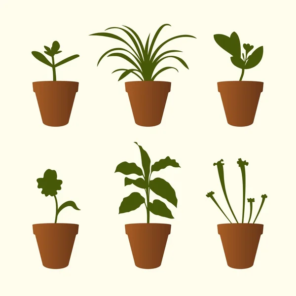 Plantas em vasos de plantas — Vetor de Stock