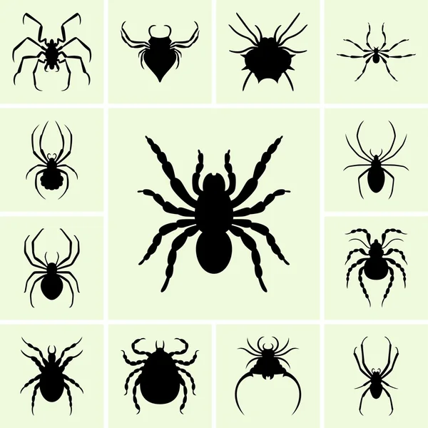 Spider's silhoettes — Stock Vector