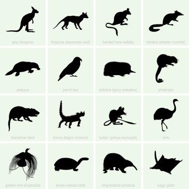 Australia's animal icons clipart