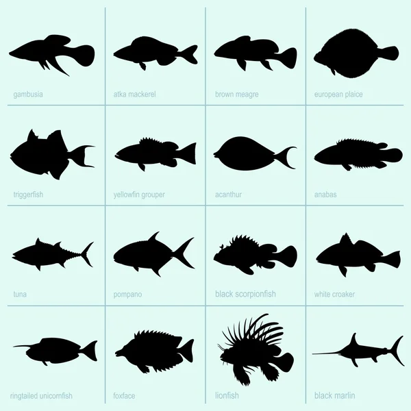 Sea fishe icons — Stock Illustration Sea fishe icons Royalty Free Stock Illustrations