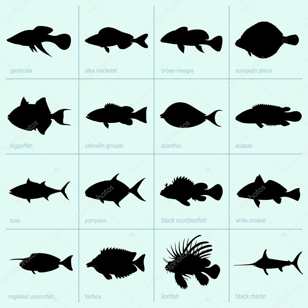 Sea fishe icons