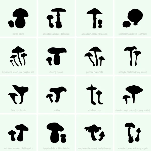 Geschikt voor menselijke consumptie en giftige paddestoelen — Stockvector