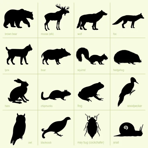 Lesní zvířata — Stockový vektor