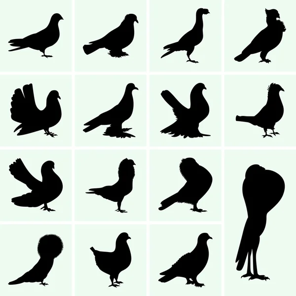 Pigeons — Image vectorielle