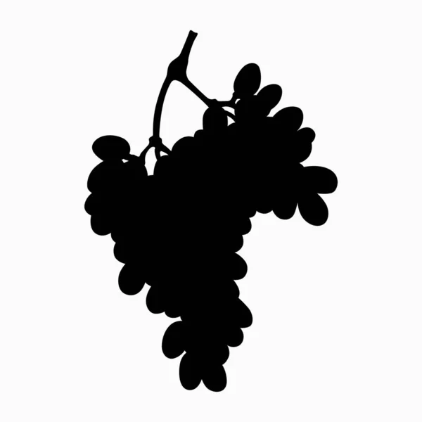 Gros Bouquet Raisin Silhouette — Image vectorielle
