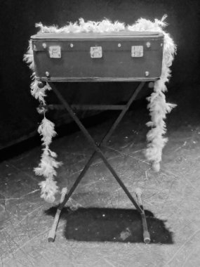 Bahçedeki güzel çiçekler