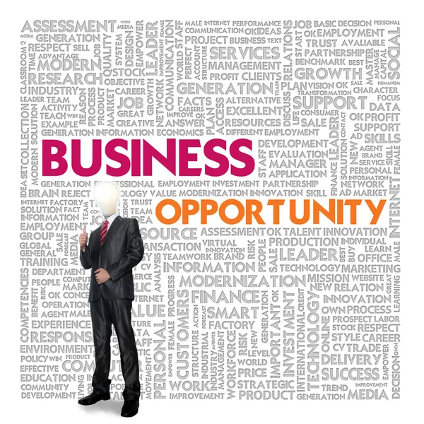 商业和金融的概念，商业机会的业务词汇云 — 图库照片