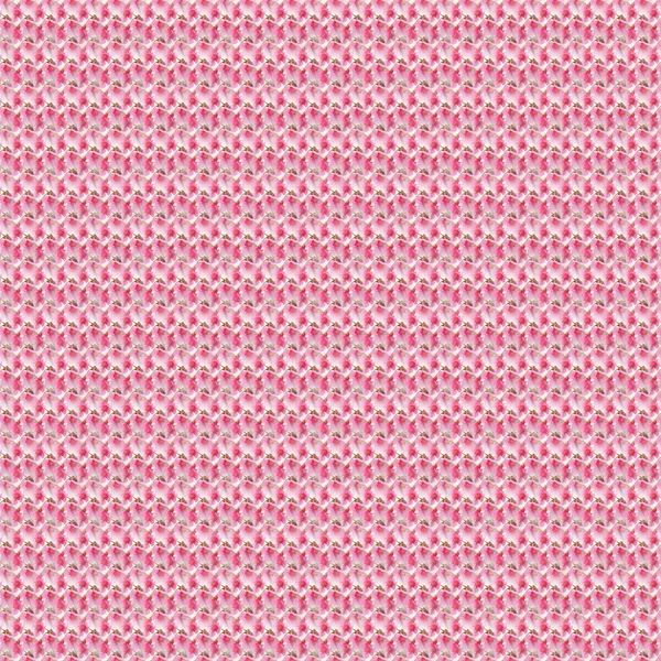 Pink Prunus cerasoides flower pattern — Stock Photo, Image