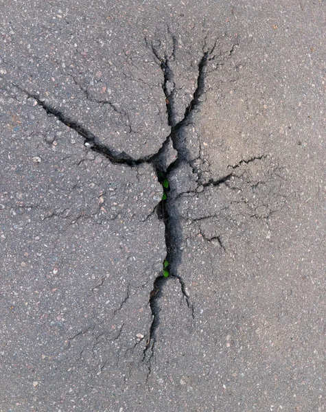 Groene krachten van de natuur Rechtenvrije Stockfoto's