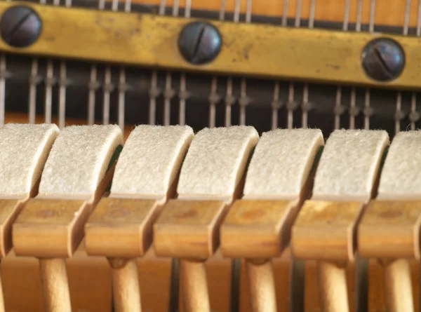 Felt on piano hammers. — Stock Photo, Image